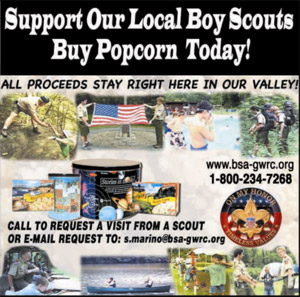 Ad for the Boy Scouts of America.